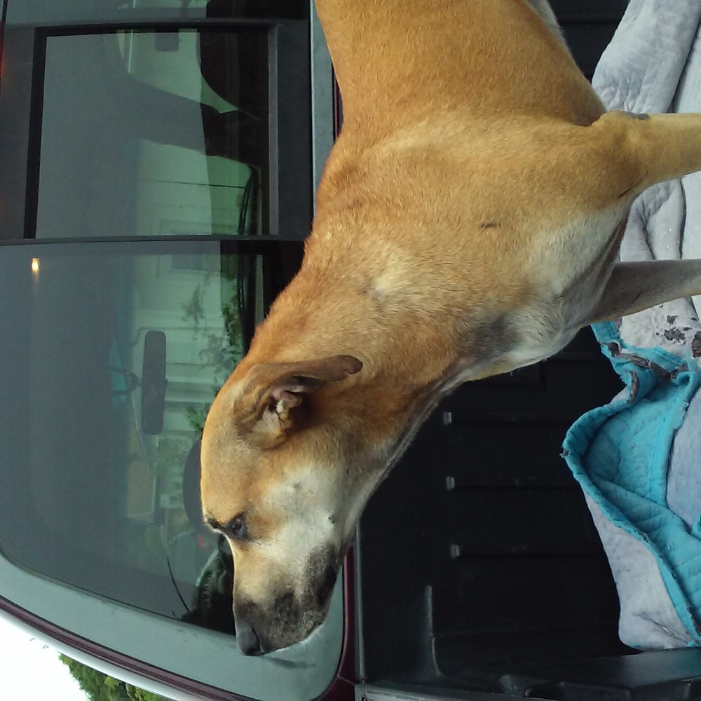 Meet your Posher, Kim